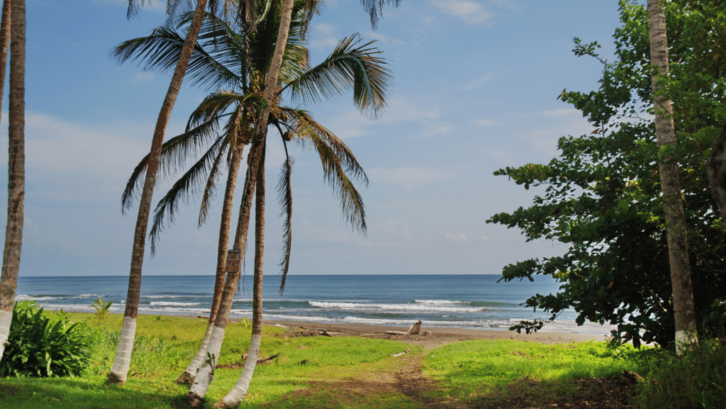 image Costa Rica Playa Negra Cahuita