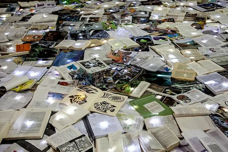 image Una calle en Canada cubierta con 10000 libros para los amantes de la lectura 05