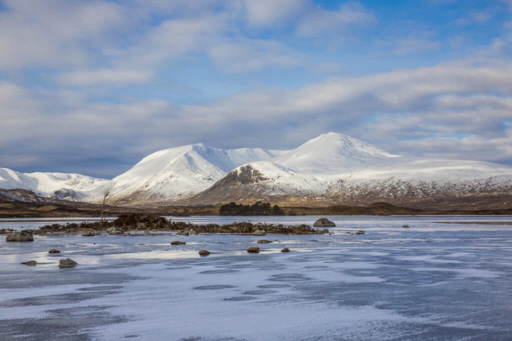 Vacas en jerséis: la tierna iniciativa de VisitScotland para promocionar el turismo en Escocia durante el invierno