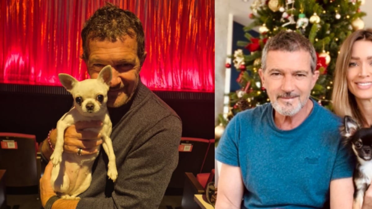 Antonio-Banderas-revela-su-secreto-para-mantenerse-joven-a-los-64-intriper.jpg