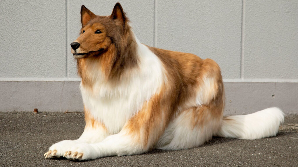La insólita propuesta del japonés que gastó una fortuna para vivir como un animal image S7ND6REBPBF7VJ4NX7YI4B5ZNA 2