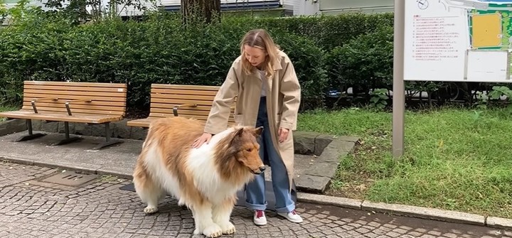 La insólita propuesta del japonés que gastó una fortuna para vivir como un animal image