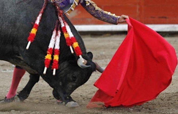 La Ciudad de México aprueba las primeras corridas de toros sin violencia del mundo image 2025 03 18toros