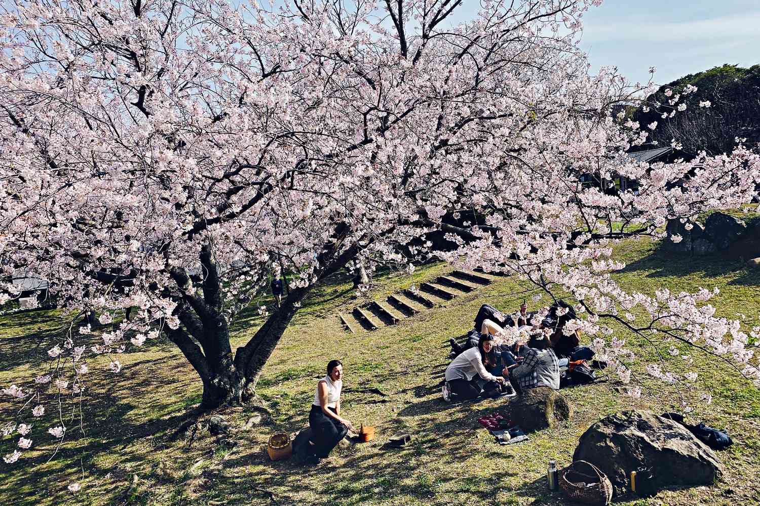 Descubre-Japon-a-traves-de-sus-cuatro-estaciones-en-este-retiro-culinario-intriper.jpg