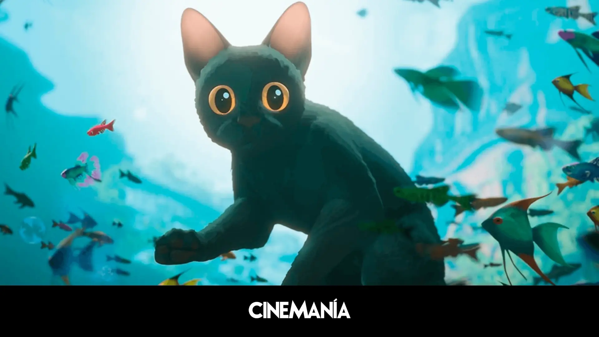 Flow-gana-el-Oscar-2025-a-mejor-pelicula-de-animacion-intriper.jpg