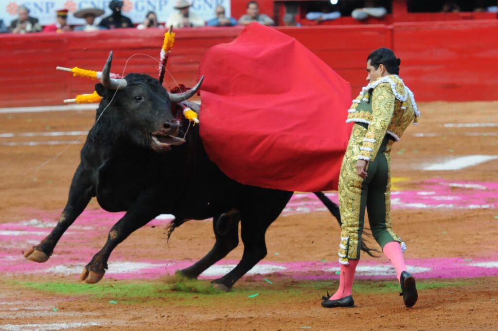 La Ciudad de México aprueba las primeras corridas de toros sin violencia del mundo image K6VXPMFIC5BHXL6JT3BZROMHU4 1