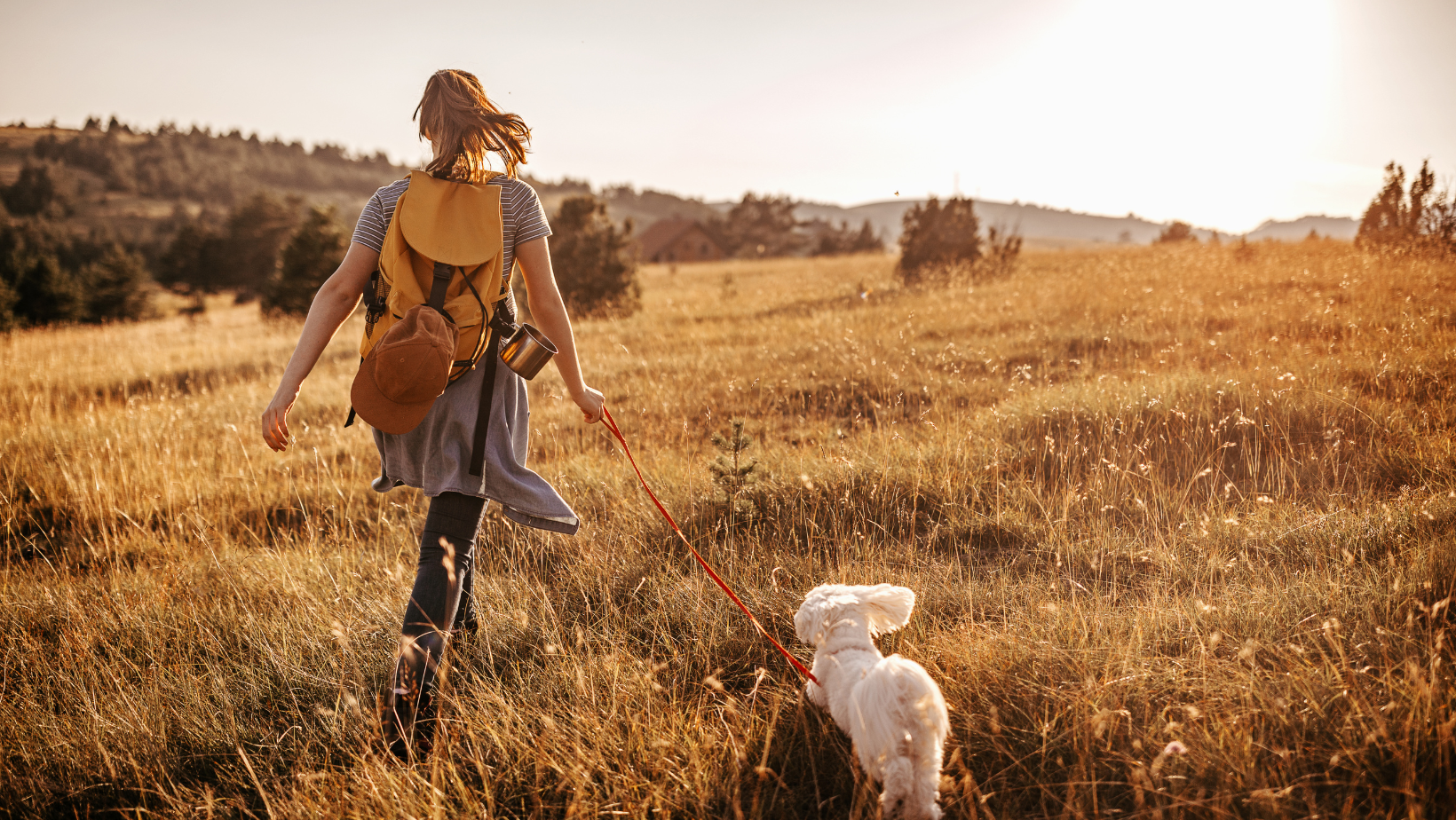 Viajar con tu mascota o dejarla: impacto en tu presupuesto