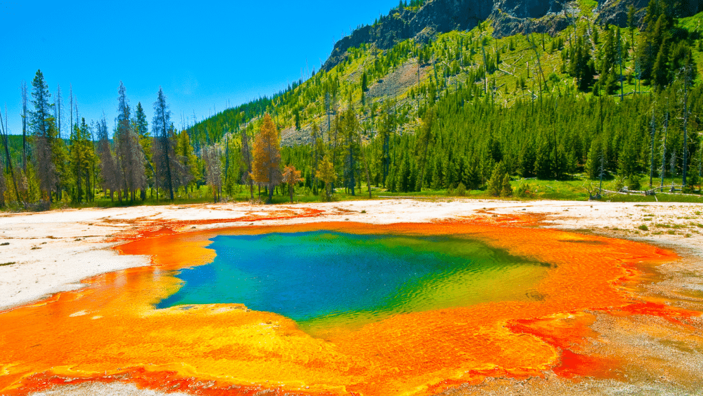 image Yellowstone 3