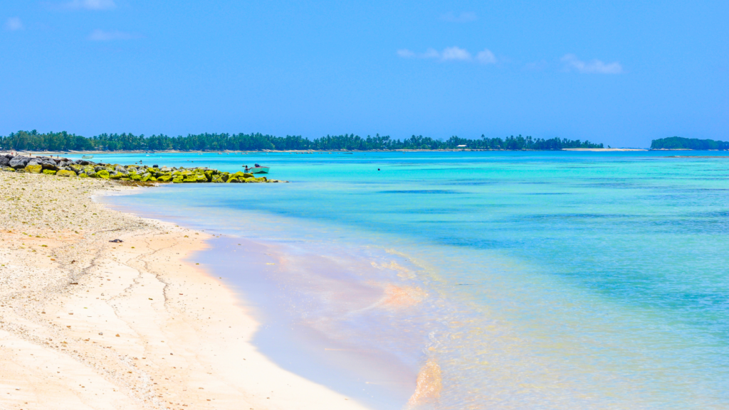 Tuvalu Tuvalu: el país menos visitado del mundo y su increíble biodiversidad image Tuvalu tuvalu