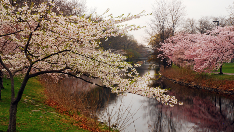 Branch Brook Park