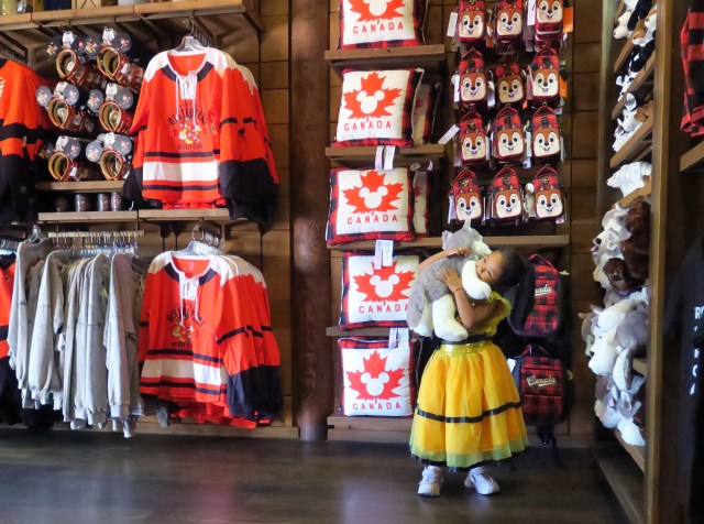 Canadienses-reducen-significativamente-sus-viajes-turisticos-a-Orlando-intriper.jpg