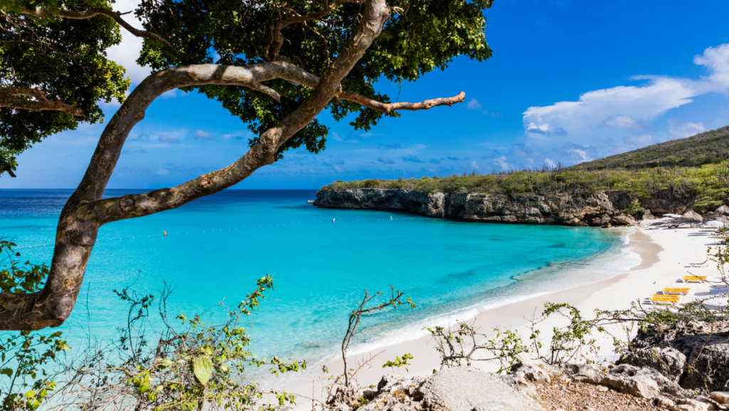 Isla del Caribe con aguas cristalinas lidera búsquedas en Google Flights image Curazao