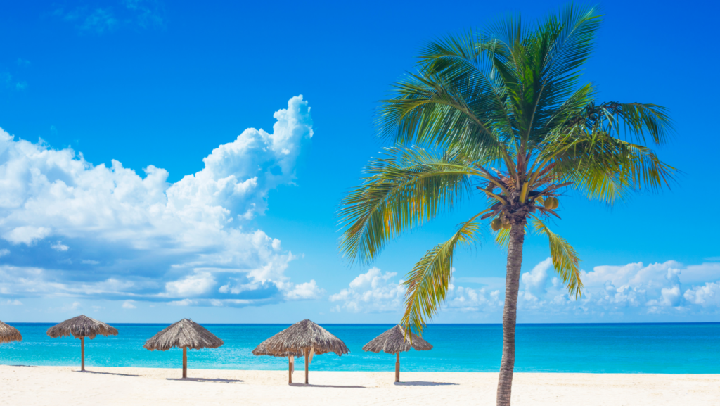 Isla del Caribe con aguas cristalinas lidera búsquedas en Google Flights image Curazao 2