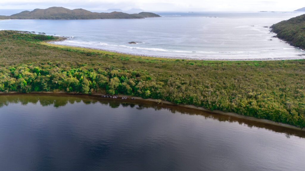 Así es un viaje de expedición en crucero por los fiordos chilenos image DJI 20231028105814 0038 D