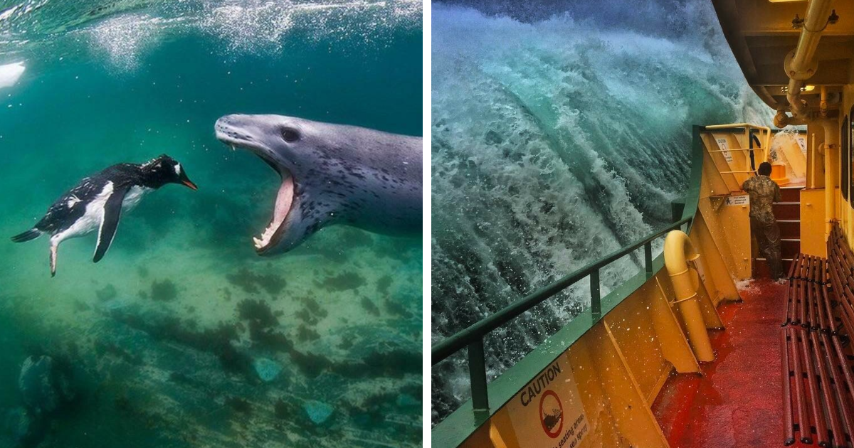 Fotos-aterradoras-del-oceano-que-te-haran-temer-al-mar-intriper.jpg