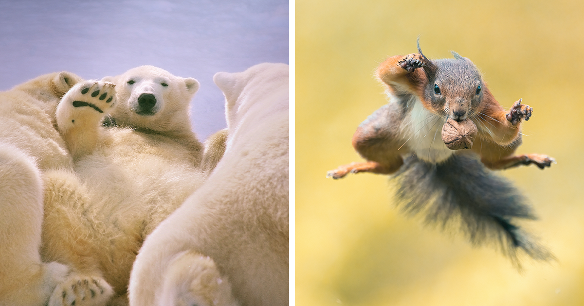 Las-mejores-50-fotos-de-naturaleza-y-animales-de-nuestra-comunidad-intriper.jpg
