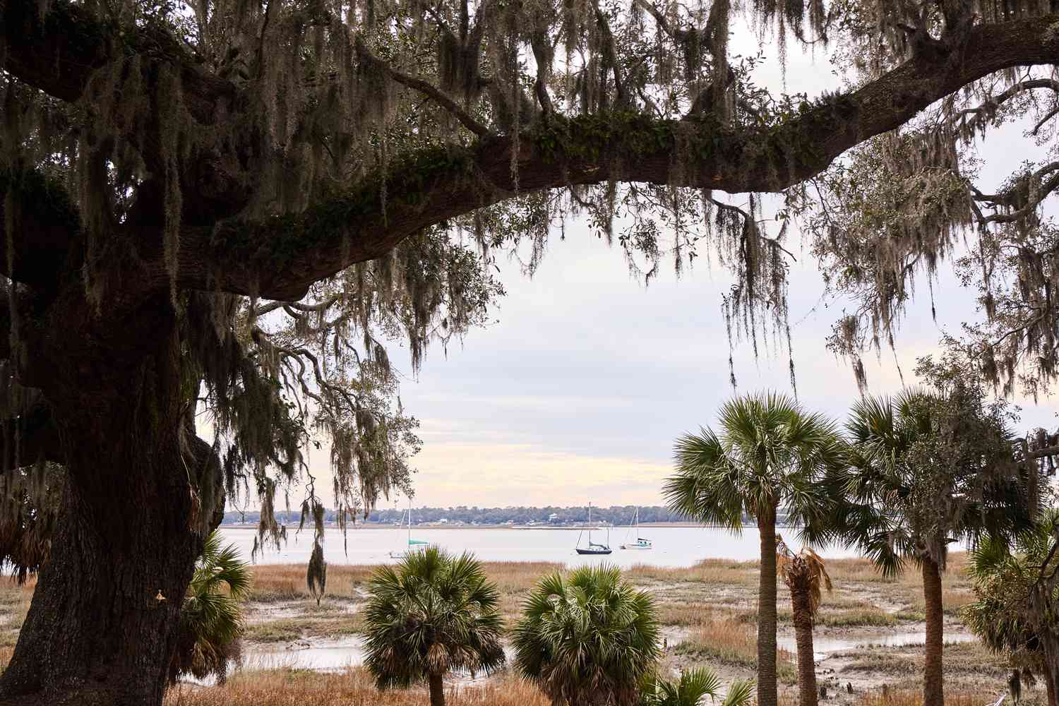 Que-ver-en-Lowcountry-Carolina-del-Sur-historia-y-naturaleza-coastal-intriper.jpg