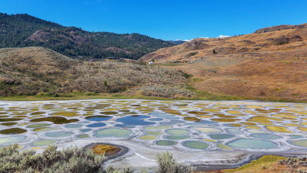 Impresionantes maravillas naturales que debes visitar en 2025 image Spotted Lake Canada 1