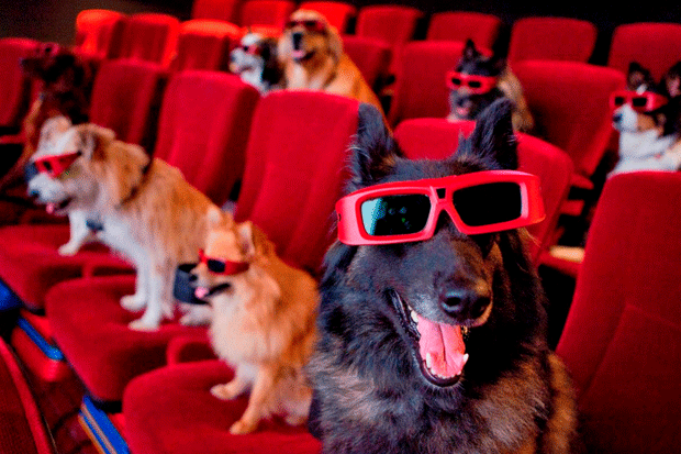 image cine perro1 1