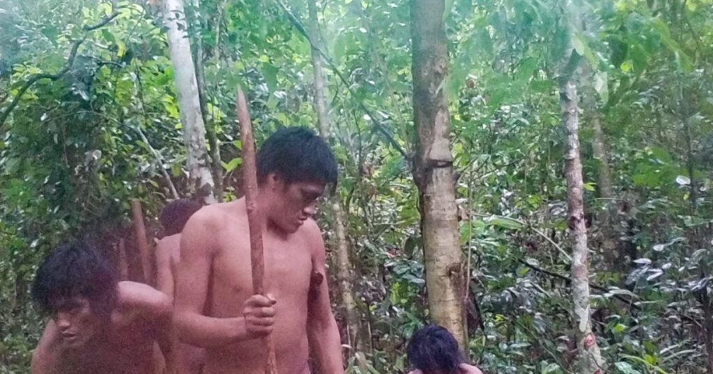 Captan por primera vez a una tribu aislada de Brasil: nunca habían tenido contacto con el exterior image eIeSkKGbN 1200x630 1