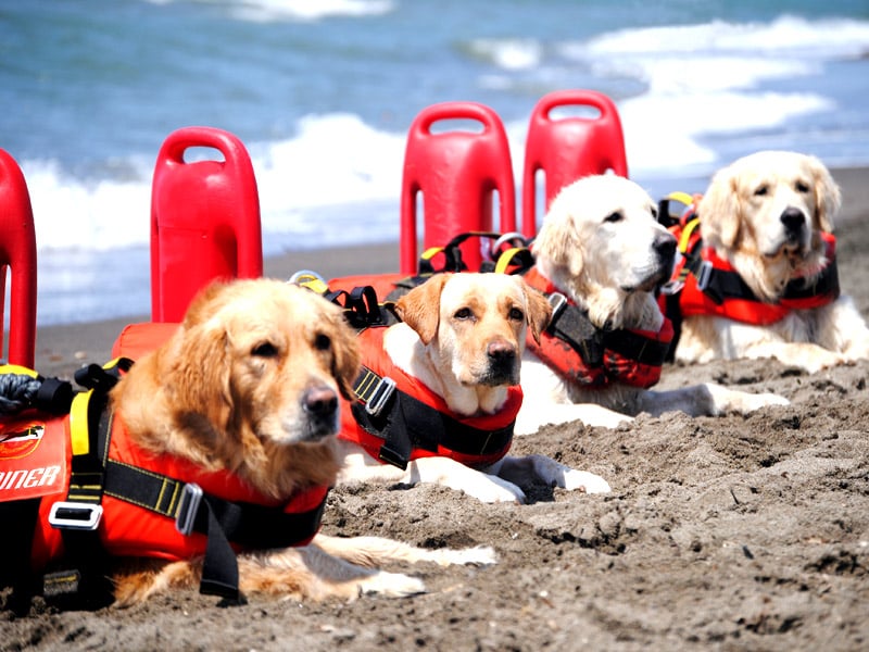 14-sicurezza-in-spiaggia