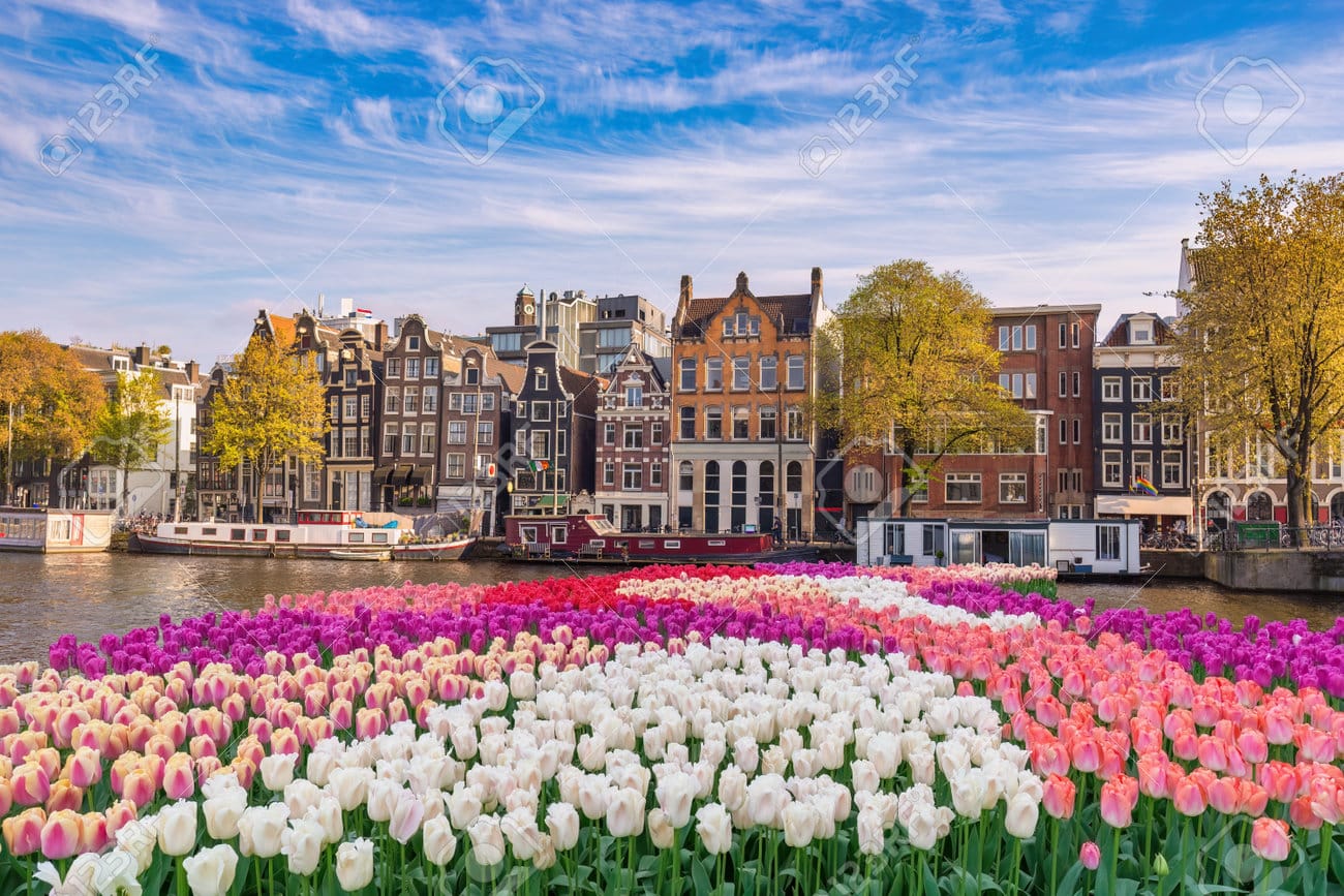 200094987-ámsterdam-países-bajos-horizonte-de-la-ciudad-en-el-paseo-marítimo-del-canal-con-flor-de-tulipán-de-