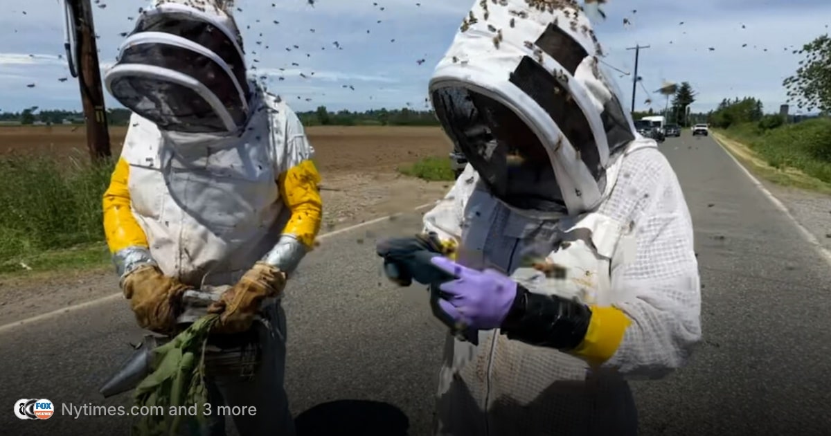 250-millones-de-abejas-se-escapan-tras-accidente-en-Washington-intriper.jpg