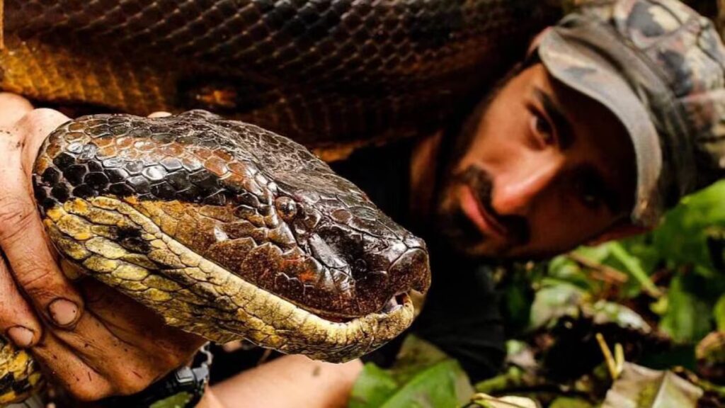 Un ecologista se dejó comer por una anaconda en vivo para defender la Amazonia image AOL472B3UZBJLH2J2XP54EC3AU 1