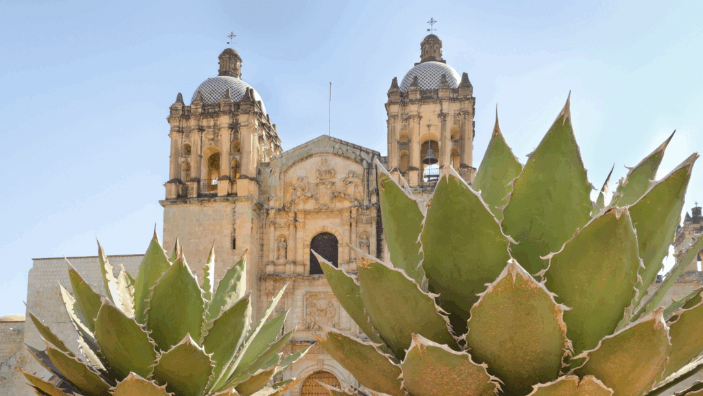 image Oaxaca Centro de Oaxaca