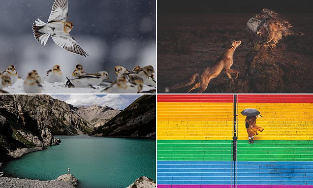 Ganadores-del-concurso-de-fotografia-de-National-Geographic-Traveller-2024-intriper.jpg