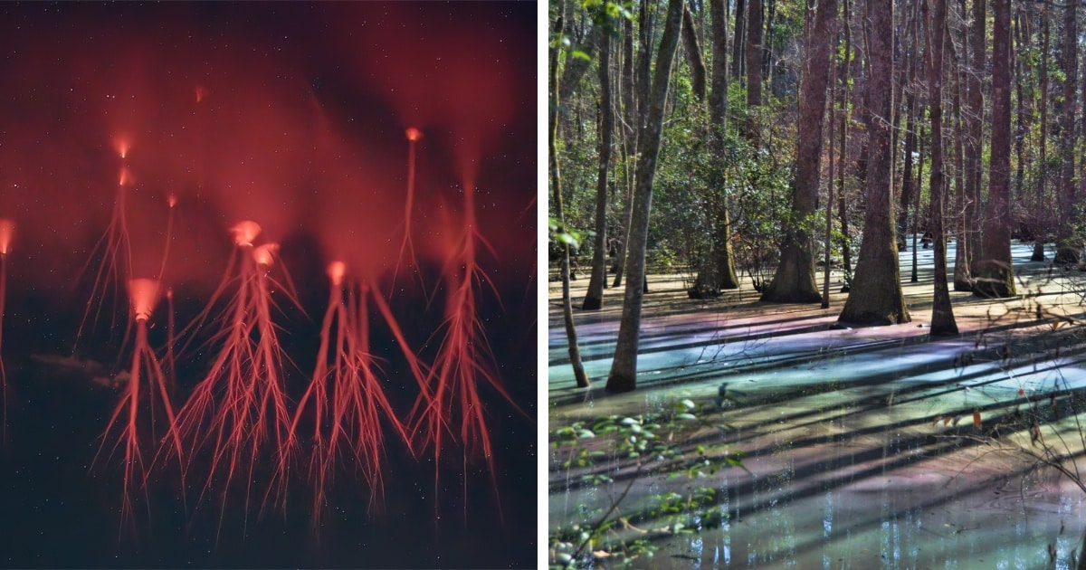 Impresionantes-fotos-de-fenomenos-naturales-raros-y-sorprendentes-intriper.jpg
