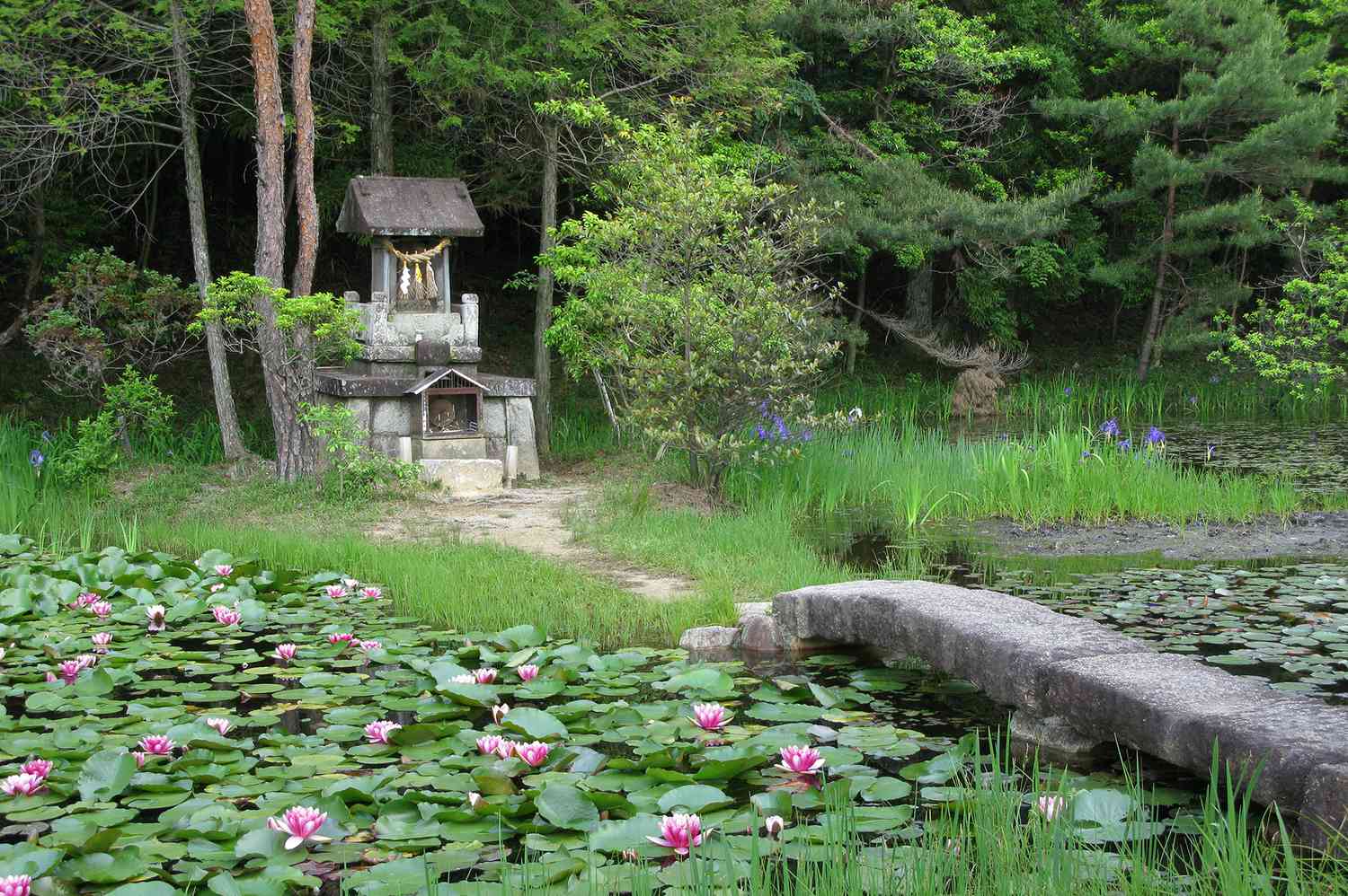 Ruta-de-senderismo-samurai-para-ver-cerezos-en-flor-en-Japon-intriper.jpg
