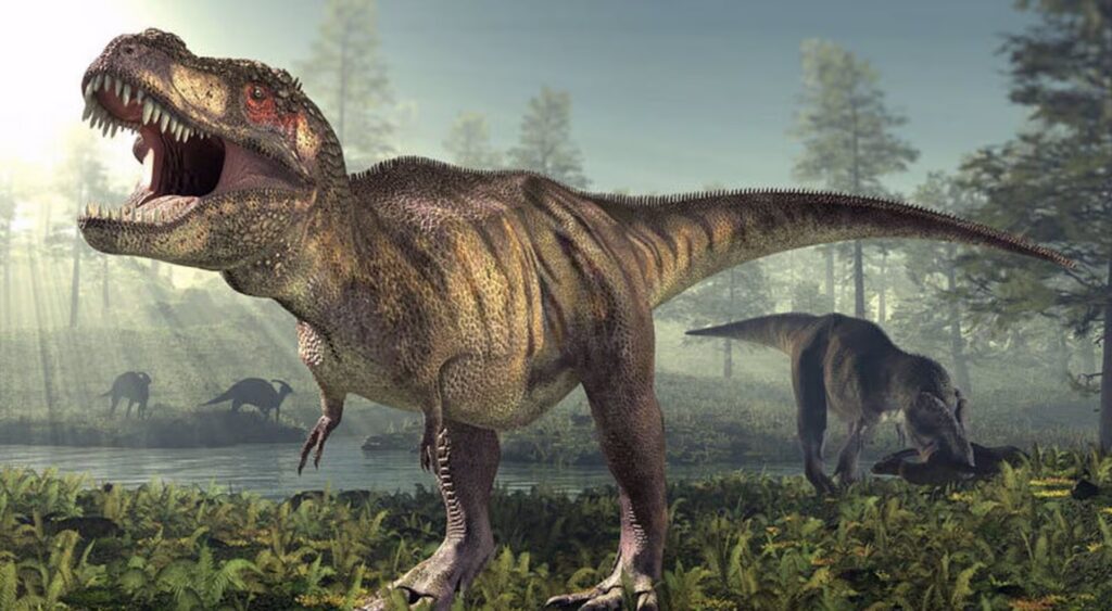 Descubren una nueva especie de dinosaurio: el “príncipe dragón” que precedió al Tiranosaurio Rex image 7HTEA2MNCVF4BAU4H72TCWCHRM