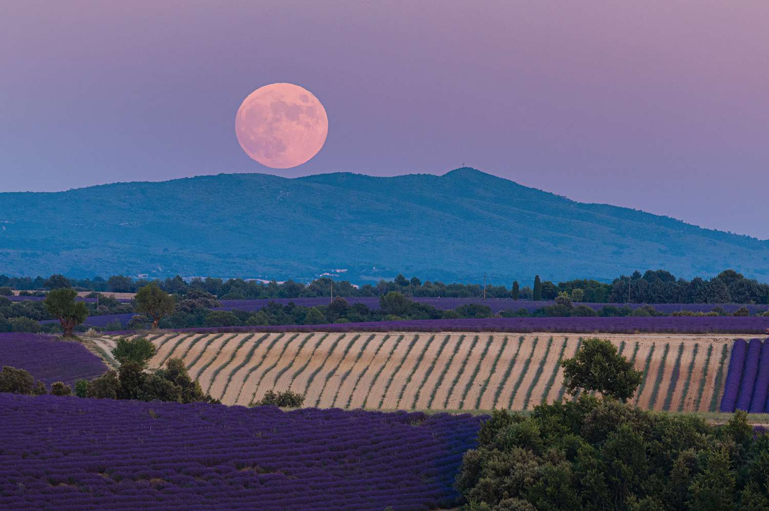 Eventos-astronomicos-imperdibles-para-observar-en-el-cielo-este-junio-intriper.jpg