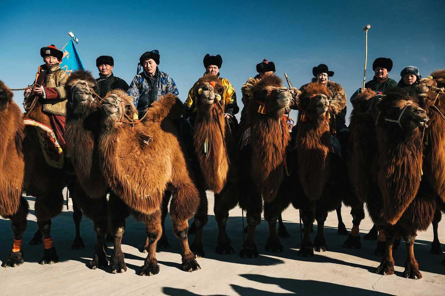 Festival-de-Camellos-en-el-Desierto-de-Gobi-Polo-y-Belleza-intriper.jpg
