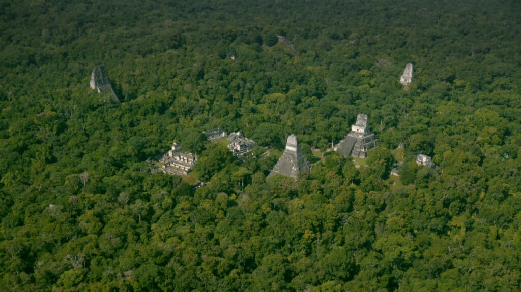 image Tesoros Perdidos de los Mayas 1920 8 1