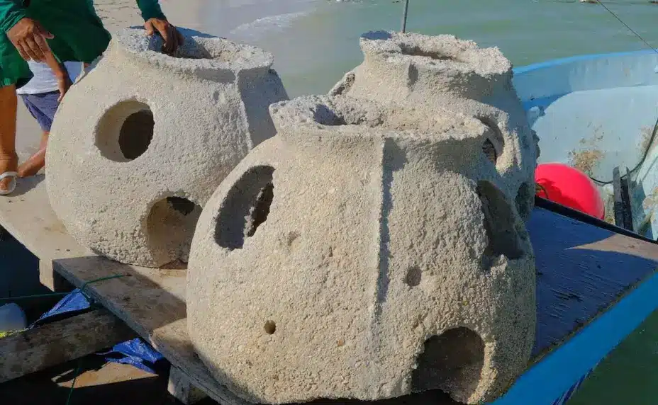 Adiós al ataúd: crean arrecifes artificiales con cenizas para devolver la vida al mar image descarga 1