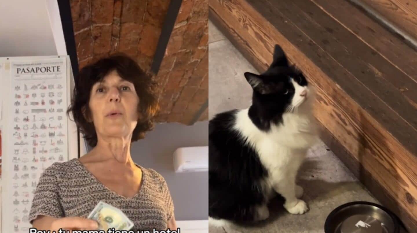el-video-se-viralizo-en-las-redes-sociales-foto-tiktoknerjisdhadamus1-X7SFOTDHLJHABP5IOVKHZTO7TM