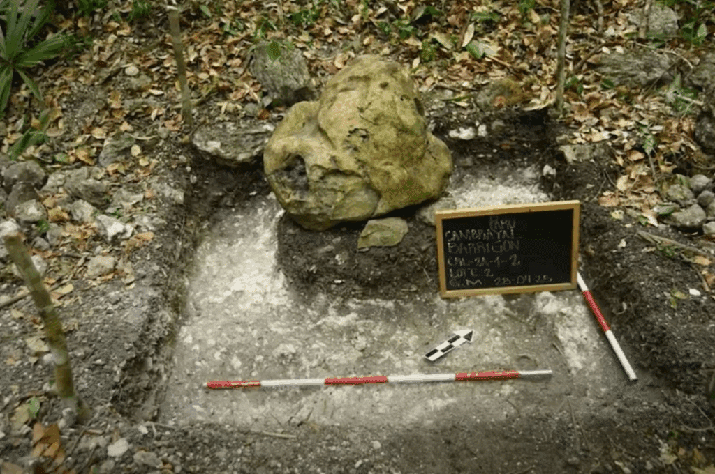 image image 1