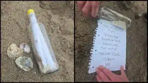 image reforestar el amazonas image