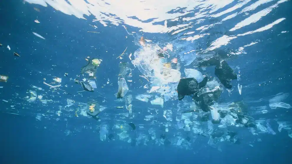 Científicos en Japón crean un plástico que se disuelve en el mar en solo horas image plastico en el mar.r d.1321 395 1