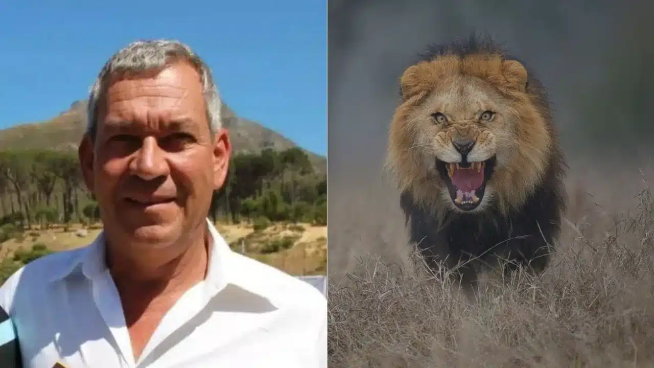principal_leon_mata_a_turista_safari_namibia_buena