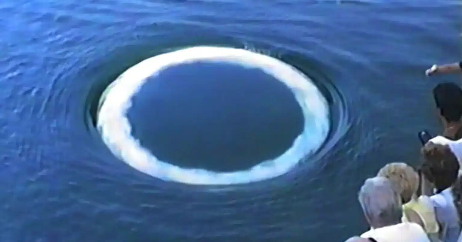 scientists-photograph-humpback-whales-blowing-bubble-rings-humans-communicate-1536x806
