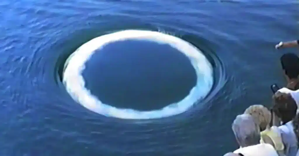 Captan por primera vez a ballenas jorobadas creando anillos de burbujas para “hablar” con humanos image scientists photograph humpback whales blowing bubble rings humans communicate 1536x806 2