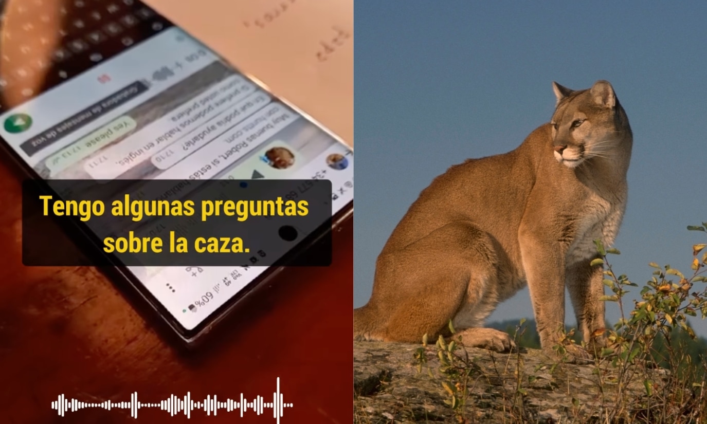 Portadas Mexi