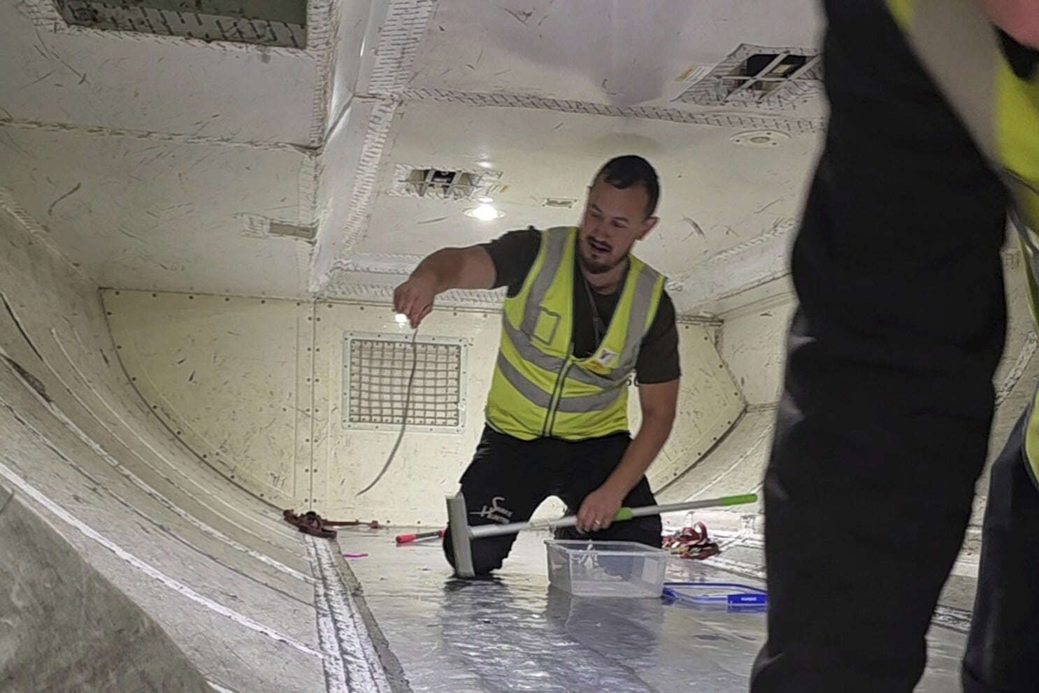 En una imagen publicada por The Snake Hunter, el cazador de serpientes Mark Pelley levanta una serpiente verde arborícola inofensiva de 60 centímetros (2 pies) en la bodega de un avión en el aeropuerto de Melbourne, el martes 1 de julio de 2025. (The Snake Hunter via AP)