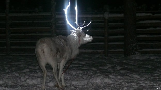 image 140220104334 reno fluorescente 624x351 ap 1