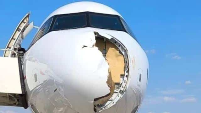 image 2072c4549bb0e577794619392d55bb08