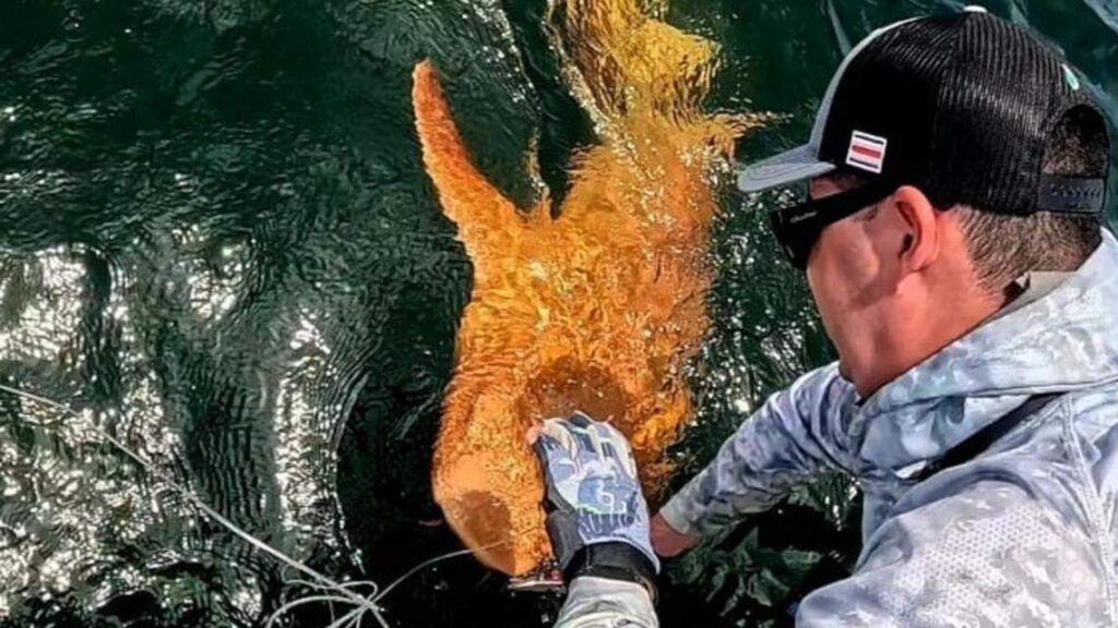 image 23db2562b3255f4da58669f5f10e8a92