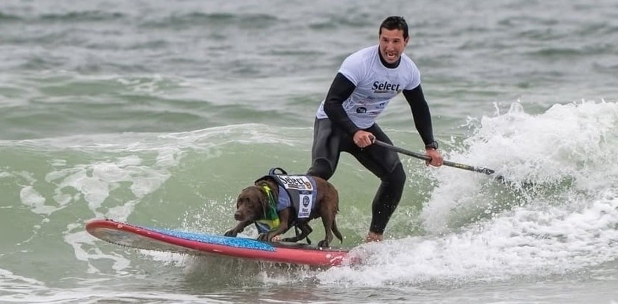 3rwgC8g5i_1256x620__2